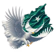 pakistni group roles